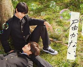 如何为网站做优化排版